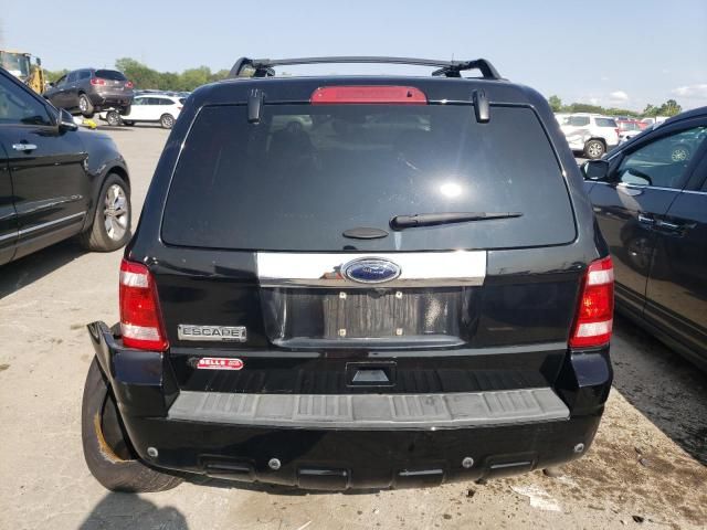 2010 Ford Escape Limited