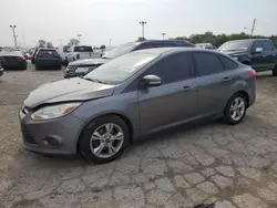 Salvage cars for sale at Indianapolis, IN auction: 2014 Ford Focus SE