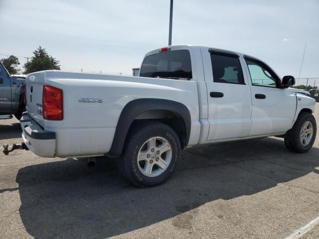 2011 Dodge Dakota SLT