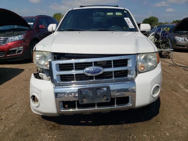 2008 Ford Escape Limited