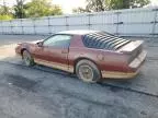 1985 Pontiac Firebird Trans AM