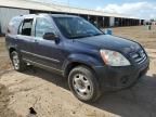 2006 Honda CR-V LX