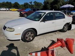 Salvage cars for sale at Ocala, FL auction: 2005 Chevrolet Classic