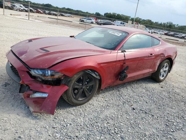 2021 Ford Mustang