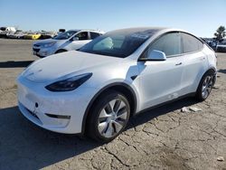 Salvage cars for sale at Martinez, CA auction: 2023 Tesla Model Y