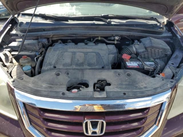 2008 Honda Odyssey EXL