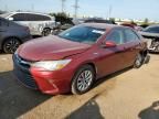 2015 Toyota Camry Hybrid