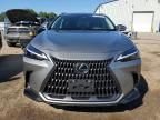 2024 Lexus NX 250 Base