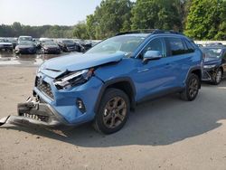 Salvage cars for sale at Glassboro, NJ auction: 2023 Toyota Rav4 Woodland Edition