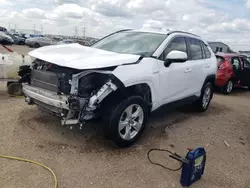 Toyota rav4 xle salvage cars for sale: 2020 Toyota Rav4 XLE