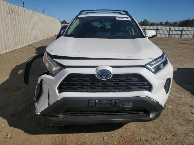 2024 Toyota Rav4 XLE