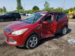 Salvage cars for sale at Montreal Est, QC auction: 2015 Ford Escape SE