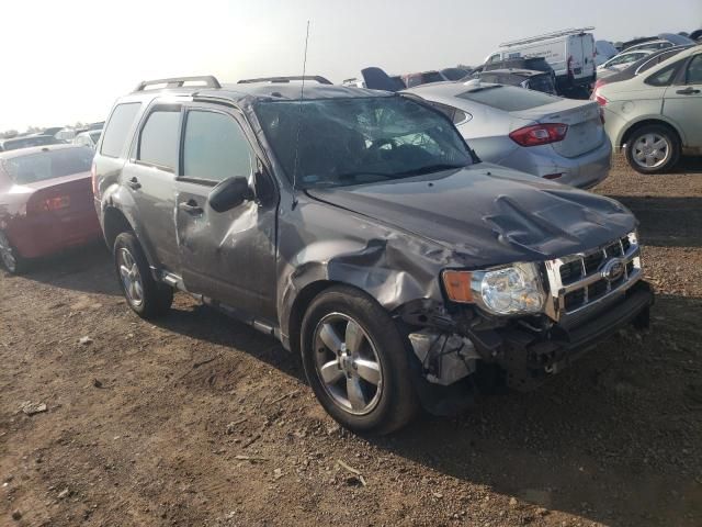 2012 Ford Escape XLT