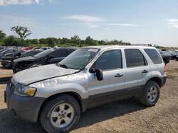 Ford salvage cars for sale: 2005 Ford Escape XLT