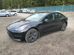 Salvage cars for sale at Graham, WA auction: 2021 Tesla Model 3