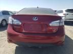 2010 Lexus HS 250H