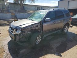 Vehiculos salvage en venta de Copart Albuquerque, NM: 2009 Ford Escape Limited