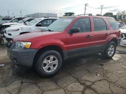 2005 Ford Escape XLT en venta en Chicago Heights, IL