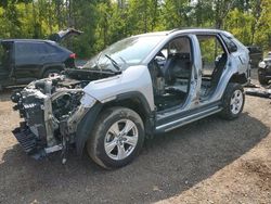 Salvage cars for sale at auction: 2020 Toyota Rav4 XLE