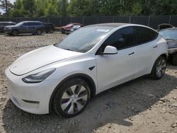 Tesla Vehiculos salvage en venta: 2021 Tesla Model Y