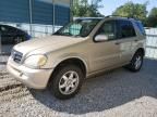 2002 Mercedes-Benz ML 500