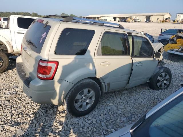 2008 Ford Escape Limited