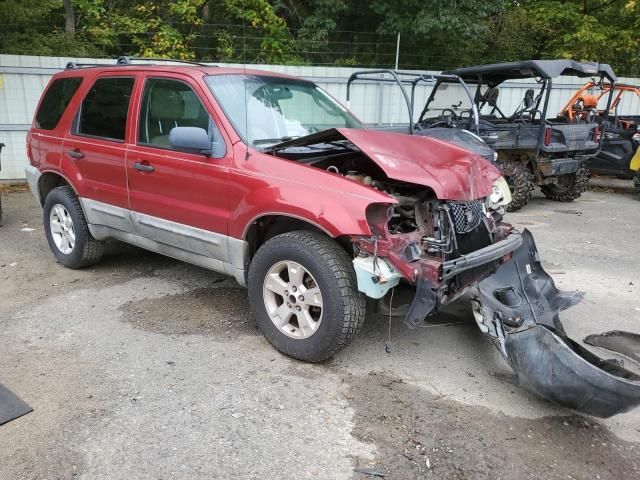 2005 Ford Escape XLT