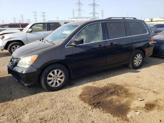 2008 Honda Odyssey EXL