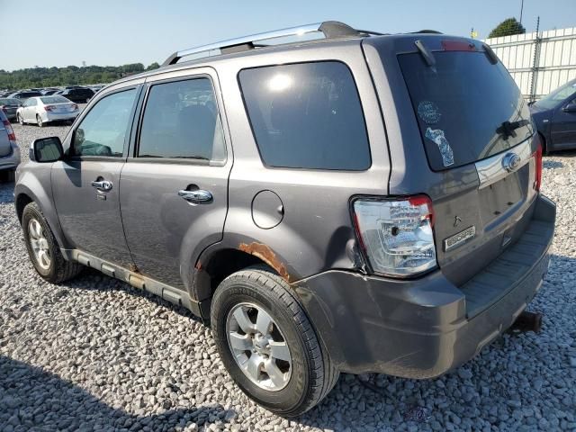 2010 Ford Escape Limited