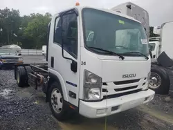 Salvage trucks for sale at Grantville, PA auction: 2016 Isuzu NQR