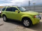 2011 Ford Escape Hybrid