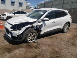 Salvage cars for sale at Albuquerque, NM auction: 2021 Ford Escape SE