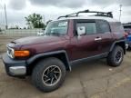 2007 Toyota FJ Cruiser