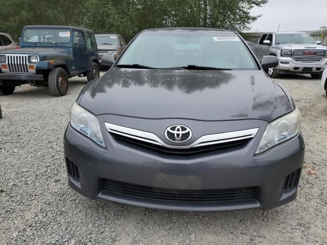 2010 Toyota Camry Hybrid