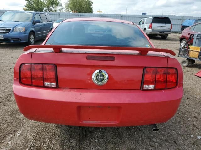 2006 Ford Mustang