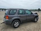 2005 Ford Escape XLS