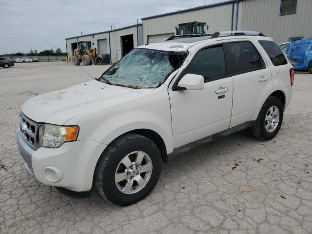 2009 Ford Escape Limited