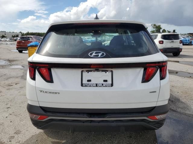 2023 Hyundai Tucson SE