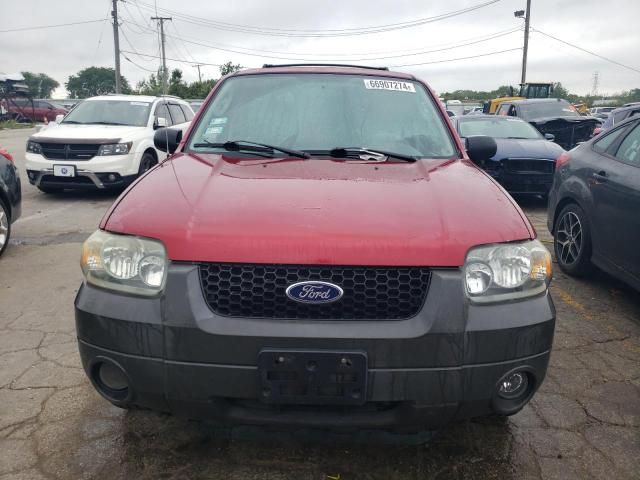 2005 Ford Escape XLT