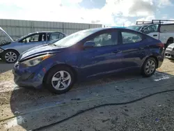 Salvage cars for sale at Arcadia, FL auction: 2016 Hyundai Elantra SE