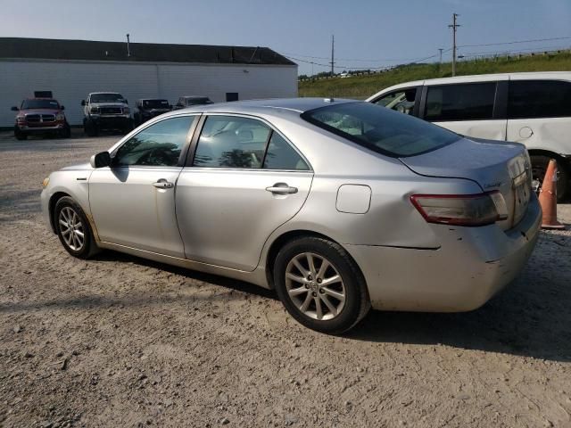 2010 Toyota Camry Hybrid