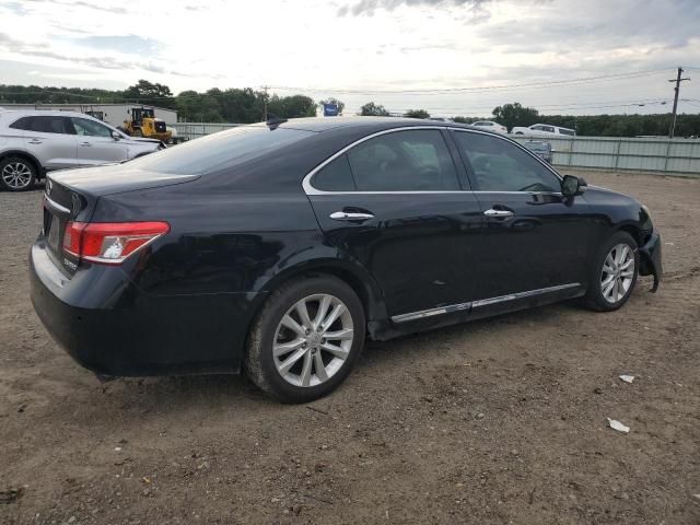 2010 Lexus ES 350