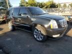 2011 Cadillac Escalade Premium