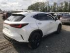 2024 Lexus NX 450H Luxury