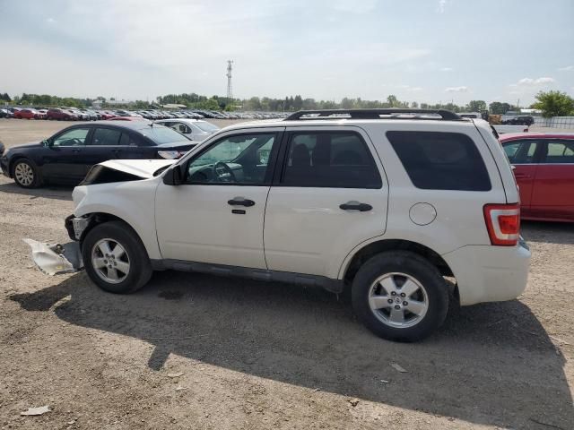 2009 Ford Escape XLT