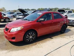 Toyota Vehiculos salvage en venta: 2010 Toyota Corolla Base