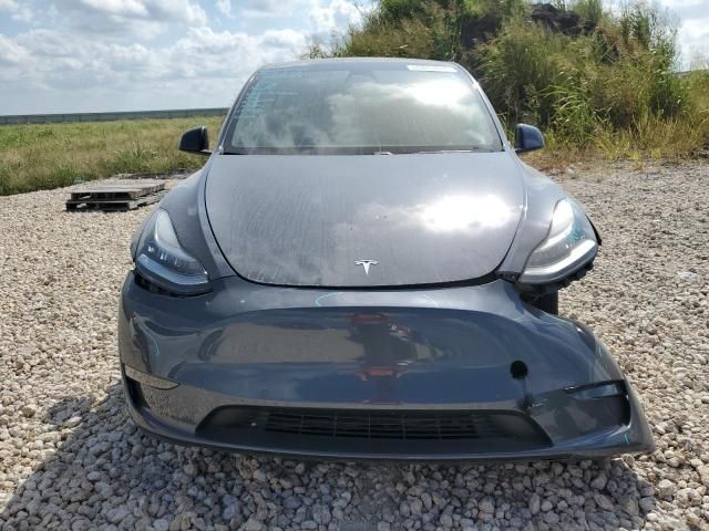 2020 Tesla Model Y