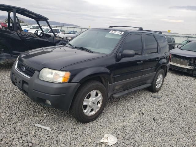 2003 Ford Escape XLT