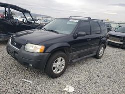 Ford salvage cars for sale: 2003 Ford Escape XLT