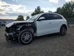 Salvage cars for sale at Baltimore, MD auction: 2017 Audi Q5 Premium Plus